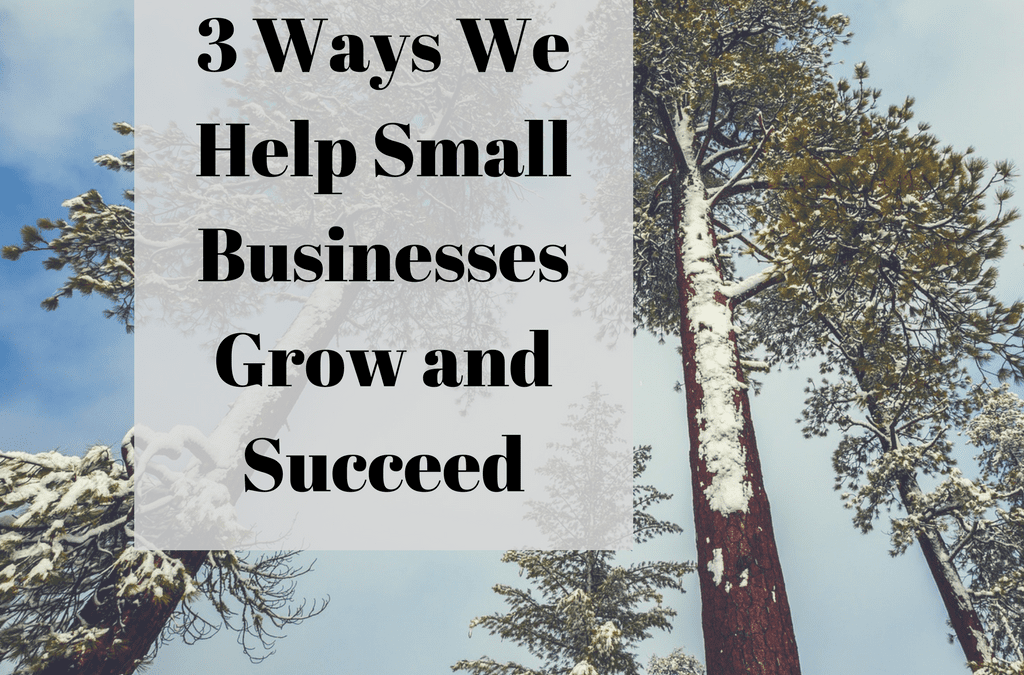 3 Ways We Help Small Businesses Grow and Succeed